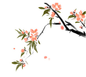 国粹防病04 - 副本.png